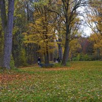 Ливень листьев кружевной ... :: Галина 