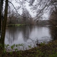 Январское настроение... :: Николай Гирш