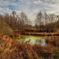 Осень не сдаётся 15 :: Андрей Дворников Осень не сдаётся 15 :: Андрей Дворников