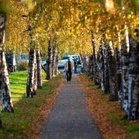 Кубань 8 ноября.25 год :: Вадим Федотов