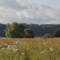 Золоторучье :: Vitrevi 