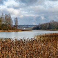 Осенний пейзаж с озером. :: Милешкин Владимир Алексеевич 