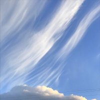 из окна :: zavitok *