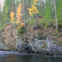 Осень на Мал. Сосьве :: Галина Ильясова