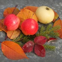 Натюрморты ноября... :: Андрей Заломленков