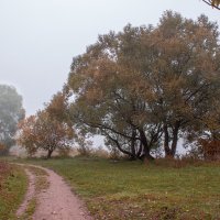 дорога по берегу р, Волга :: Владимир Зеленцов