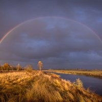 **** :: Елизавета .