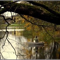 *** :: Aleksandr Gal