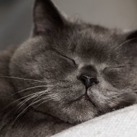 Блаженство :: Вячеслав Алтай