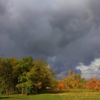 Перед дождем :: Оксана Новик 