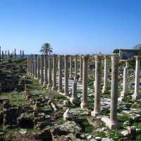 Развалины древнего города Тир, Ливан. :: unix (Илья Утропов)