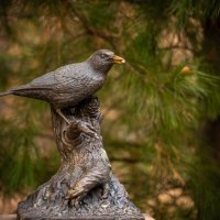 Томская Кедровка :: Grishkov S.M.