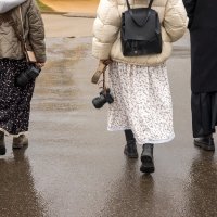 Три дороги, три пути :: Наталья Сафронова