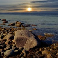 Соловки.Берег Белого моря. :: Тамара Бучарская