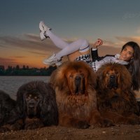 суета вокруг дивана :: игорь суета вокруг дивана :: игорь