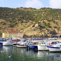 Чайки кружат :: Геннадий Валеев