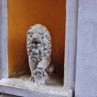 Лев в парке :: Юрий Гайворонскiий