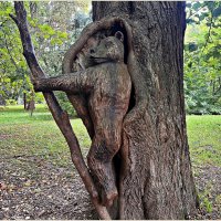 В парке им. Беккера. :: Валерия Комова В парке им. Беккера. :: Валерия Комова