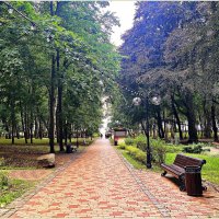 Аллея парка им. Беккера. :: Валерия Комова Аллея парка им. Беккера. :: Валерия Комова