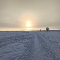 Утро :: Anna Ivanova