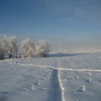 Морозное утро :: Anna Ivanova Морозное утро :: Anna Ivanova