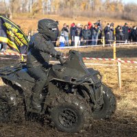 ...эти грязи не боятся! :: Александр Гриднев