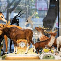 Кисловодский фарфор. :: Андрей Дурапов