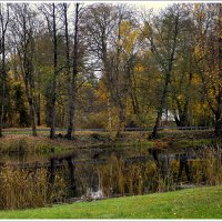 *** :: Aleksandr Gal