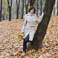 осінній настрій :: Степан Карачко