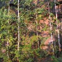 В Радуга-парке :: Елена Шаламова