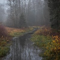 **** :: Елизавета .