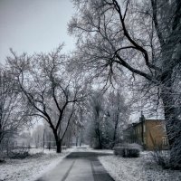 Первый снег :: Андрей Дворников Первый снег :: Андрей Дворников