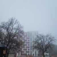 Новый дом в тумане :: Александр Синдерёв