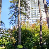 Приморский парк :: Tata Wolf Приморский парк :: Tata Wolf