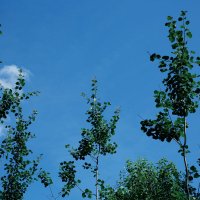 Фотография :: Денис Безногов