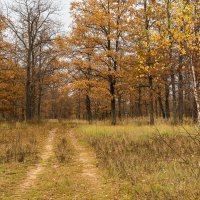 *** :: Андрей Андрианов