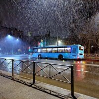 Первый снег в Петербурге :: Ирина Румянцева