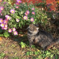 Тихая беседа :: Наталья Тихая беседа :: Наталья