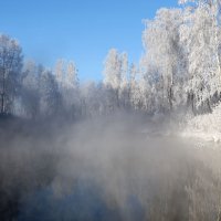 Холодное утро... :: владимир 