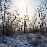 Первый снег. :: Александр 