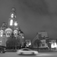 Устремленные вверх :: Сергей Сергеев