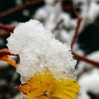 Снежный сюрприз ноября! :: veilins veilins