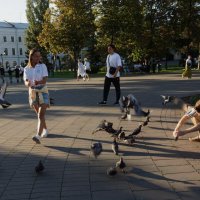 ох,уж эти голуби :: Ирина Милонова