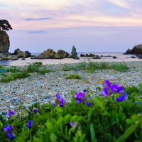 Морской пейзаж заповедной бухты :: Татьяна Маркова