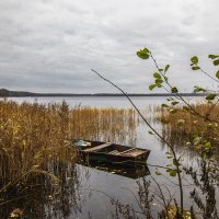 НА ПРИКОЛЕ. :: Николай 