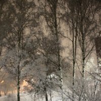 Шел первый снег :: Наталья Герасимова