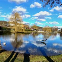 На озёрах Зиндельфингена :: Сергей Порфирьев На озёрах Зиндельфингена :: Сергей Порфирьев