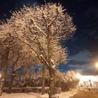 Зима :: Сапсан 