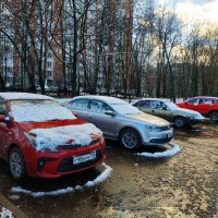 Предзимье в городе (фотодневник не юного натуралиста) :: Андрей Лукьянов