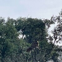 Турция загадочная :: Георгиевич 